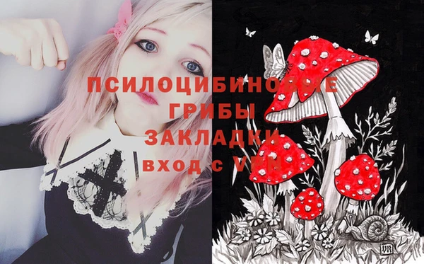 стафф Магас