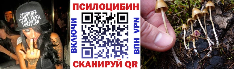 Псилоцибиновые грибы Psilocybine cubensis  Купить закладки  Кувшиново 