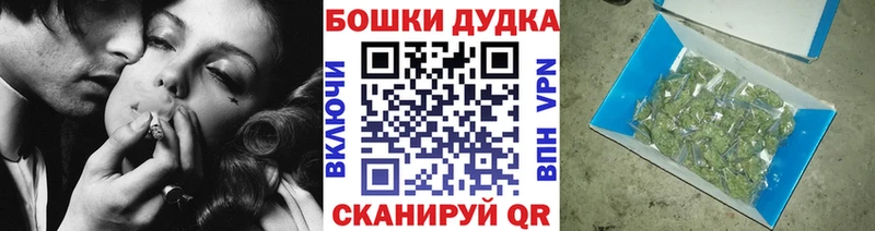 Купить  Кувшиново  Бошки Шишки MAZAR 